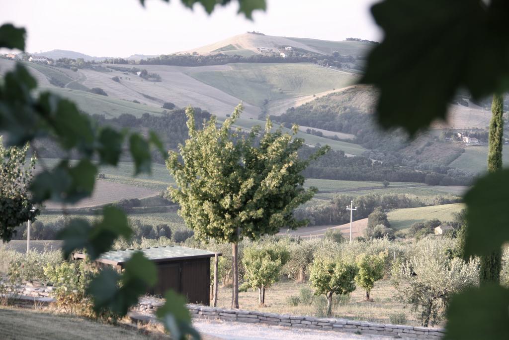 Agriturismo Fattoria Marchetti Hotell Montalto delle Marche Exteriör bild